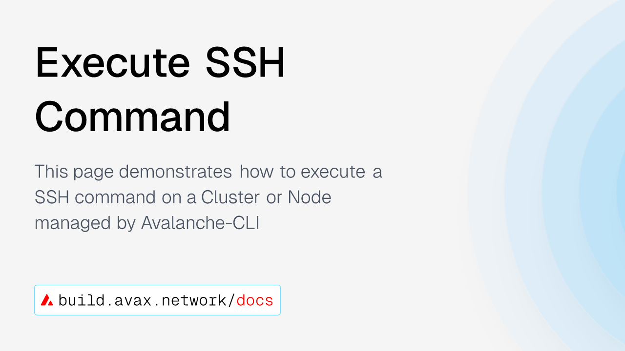 Execute SSH Command | Avalanche Builder Hub